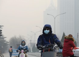 500.000 thai nhi Trung Quốc tử vong mỗi năm vì ô nhiễm